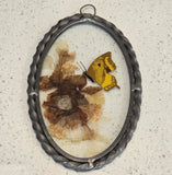Vtg Lasting Impressions Butterfly In Glass Framed Decor Handcrafted USA Pressed Dried Flower