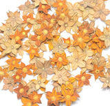 Star Shaped Yellow Pressed Flowers 05 Petals Cute Natural Floral Resin Materials Dried Flower
