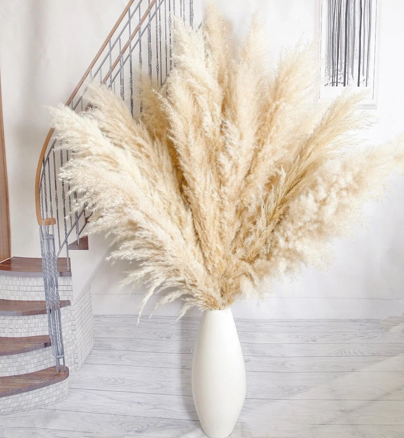 10pcs 40'' Pampas Grass Tall Decor - Pompas Floral, Tall pampas grass for Flo... Pampas Grass