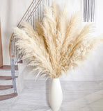 10pcs 40'' Pampas Grass Tall Decor - Pompas Floral, Tall pampas grass for Flo... Pampas Grass