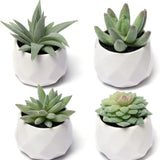 Artificial Succulent Plants for Desk Decor Small Fake Plant -4 Pack Gift Green Plant