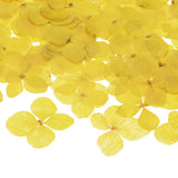 60-Pack Dried Pressed Flowers for Resin, Real Natural Bulk Dry Floral [Yellow] Dried Flower