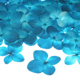 12-Pack Dried Pressed Flowers for Resin, Real Bulk Dry Floral [Light Blue] Dried Flower