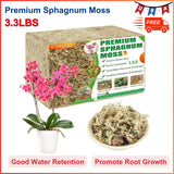3.3LBS Premium Sphagnum Moss For Plant- 60QT Natural Succulent Carnivorous Plant Orchids