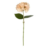Vickerman 18" Fabric Artificial Hydrangea Spray in Beige (Set of 4) Hydrangea