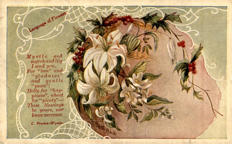 Floral postcard with large white lilies, leafy wreath, and red berries on cream background