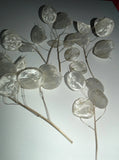6 Dried Lunaria Moonwort Honesty Silver Dollar Plant Stems, 5-8Ó Tall organic Dried Flower
