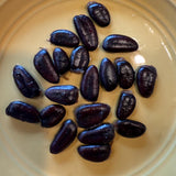 2025 Paw Paw Tree Seeds- from great quality grafted cultivars, packed in peat Flowering Plants