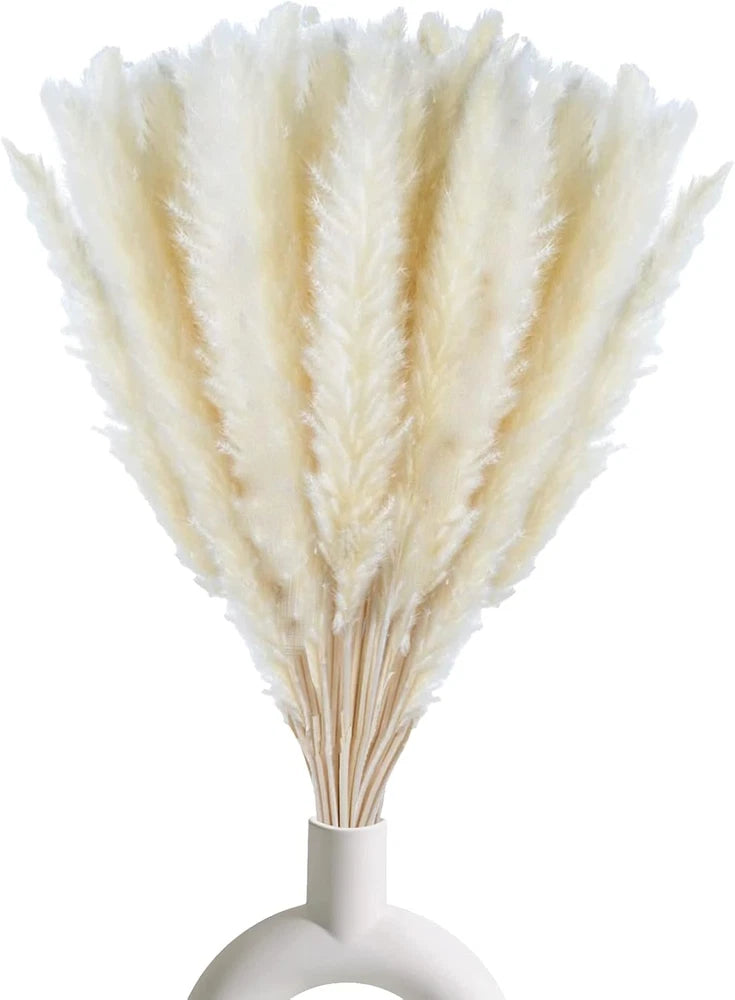 30 Pcs White Pampas Grass 17 Inch Natural Dried Flower Stems for Home Decor Pampas Grass