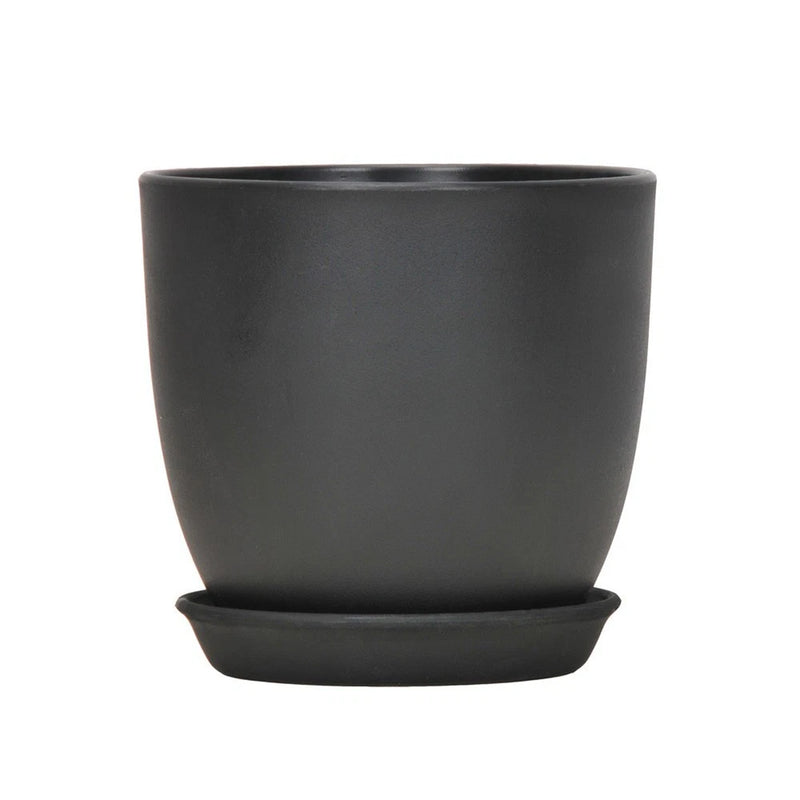 Black plastic plant pot with matching saucer base