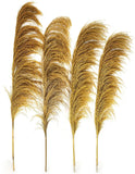 Golden Pampas Grass Decor Tall,Dried Pampas Grass, Pompas Floral for Vase, Elega Pampas Grass