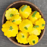 75 PATTY PAN SCALLOP YELLOW BUSH SUMMER SQUASH FRESH HARVEST FOR GARDENS Garden Plants