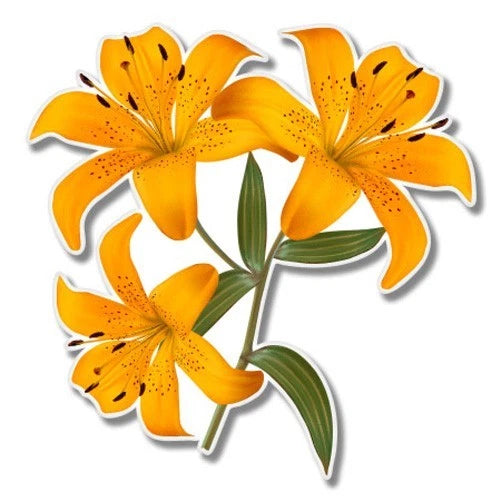 Lily Flowers Car Laptop Phone Vinyl Sticker  - SELECT SIZE Lily