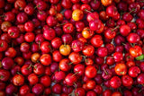 15 Acerola Cherry  Barbados Cherry Seeds For Garden Planting- USA  2024 Harvest Garden Plants
