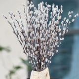 30 Stems Real Dried Pussywillow Preserved Greenery Branches for Vase- Natural Dried Flower