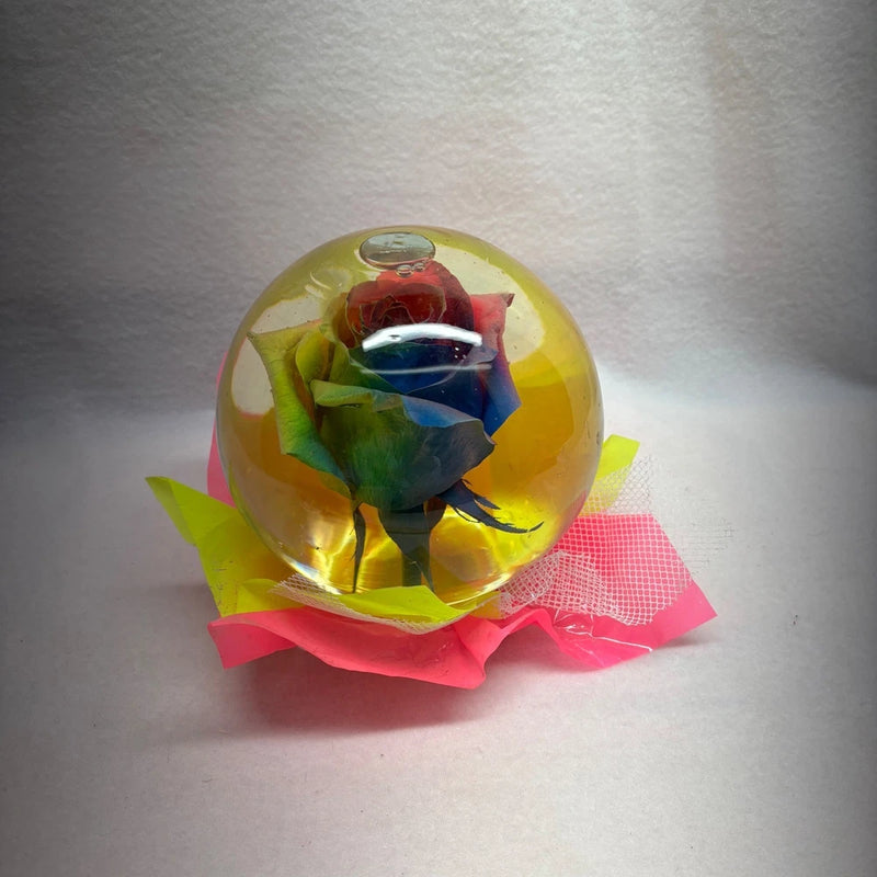 Resin preserved rainbow rose globe in clear sphere with pink and green base