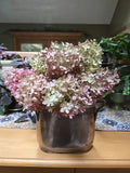 Dried hydrangea stems flowers antique patina pink beige  peegee, 8 Stems Hydrangea