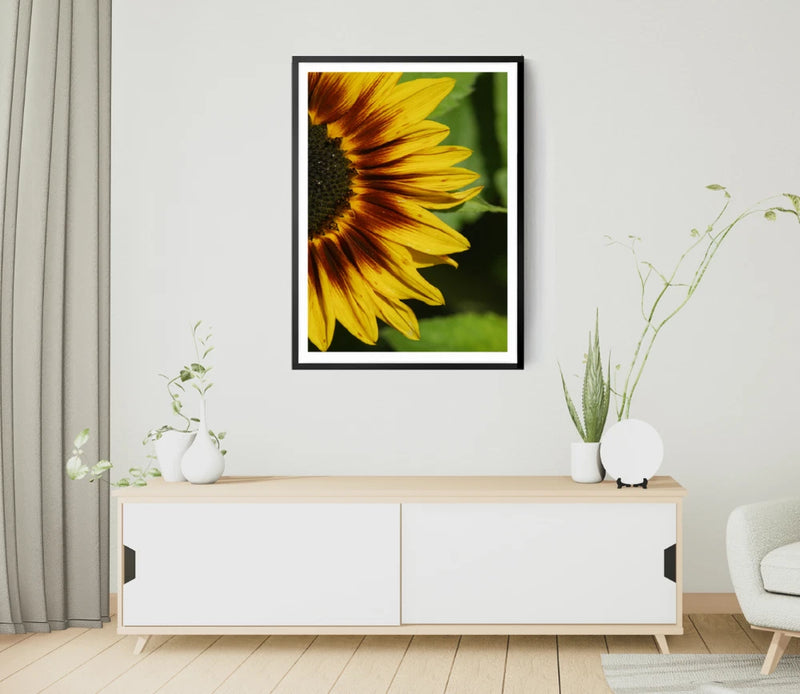 Yellow Sunflower Print, Nature Wall Art, Flower Framed Closeup Wall Art, Floral Sunflower