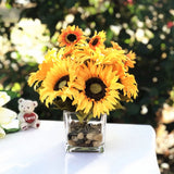 Enova Home Mixed Sunflower in Cube Glass Vase With River Rock and Faux Water Sunflower