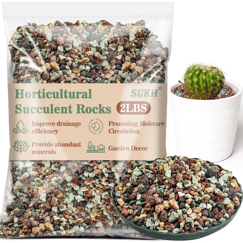 Mixed succulent rock and gravel for bonsai, shown with small potted cactus.