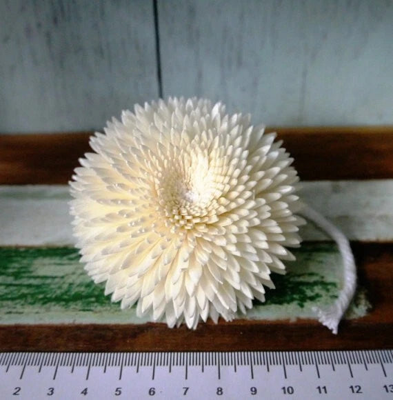 9 Chrysanthemum Sola Wood Diffuser Flowers 8 cm Dia. with Cotton Rope. For Craft Dried Flower