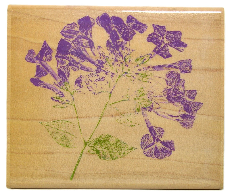 Inkadinkado HYDRANGEA FLOWER TOP Floral Wood Mount Rubber Stamp Hydrangea