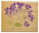 Inkadinkado HYDRANGEA FLOWER TOP Floral Wood Mount Rubber Stamp Hydrangea