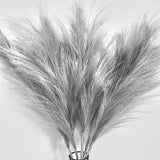 Pusuny Faux Pampas Grass,7 PCS 24 inch Gray Pampas Grass Decor, 7 Branches | ... Pampas Grass