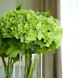 Real Touch Huge Faux Hydrangea Stem - Green | Artificial Flower |Decoration Hydrangea