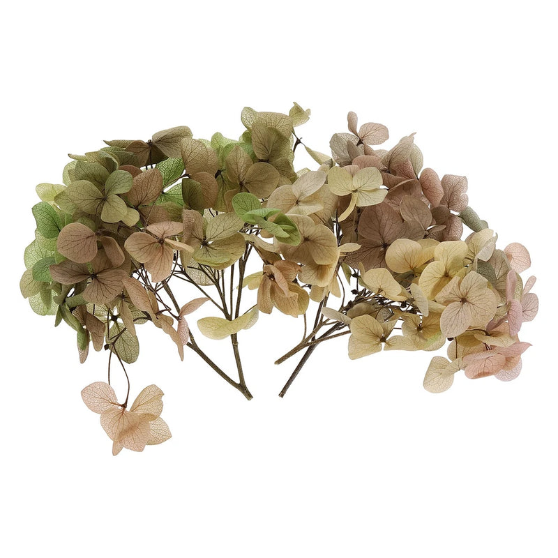 10g Mini Dried Hydrangea Flower Natural Pressed Flower Gradient Light Green Pink Dried Flower