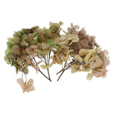10g Mini Dried Hydrangea Flower Natural Pressed Flower Gradient Light Green Pink Dried Flower