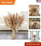 40Ó  Pampas Grass Set - 20 Long Stems for Weddings & Home Decor Pampas Grass