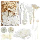 Dried FlowersDried Flowers Set for DIY Scrapbook Accessories Flower Arrangeme... Dried Flower