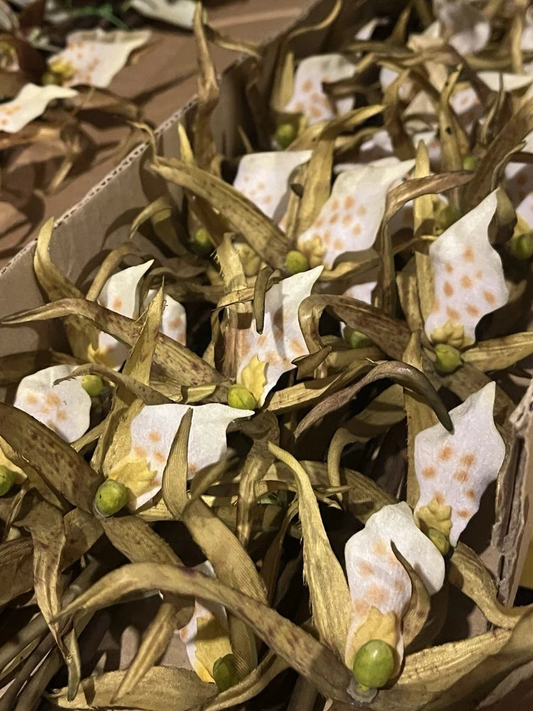 36 Stems Spider Lily Orchid 37" Tall Green Yellow Artificial Flowers Decor Flowering Plants