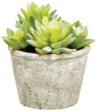 Artificial 5.75" Sedum in Paper Mache Pot, New, Sale! Green Plant