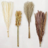 17" 100Pcs Dried Pampas Grass Party Table Decor, Natural Small Boho Pampas Grass Pampas Grass