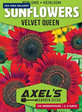 Red Sunflower Seeds for Planting - 50 Heirloom Non GMO Velvet Queen Flower Seeds Sunflower