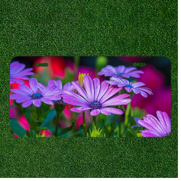 Auto license plate tag with purple daisy-like flower pattern and colorful accents
