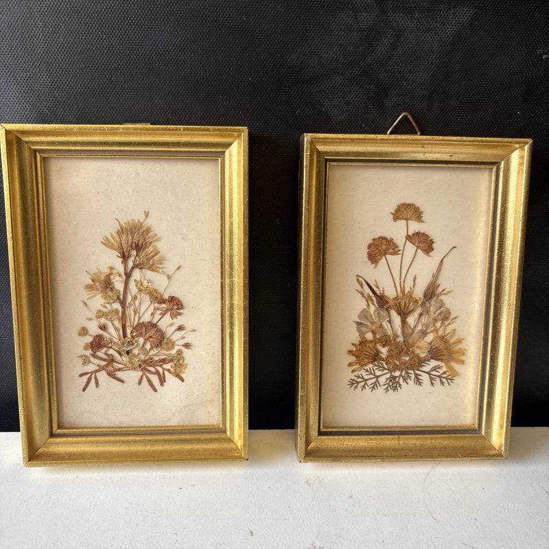 Vintage framed dried flower picture with pressed brown and beige botanicals