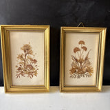 2 Vtg Handmade Dried Flowers Pictures By Reichlin  Switzerland Dried Flower