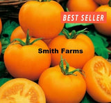 50+ Seeds Goldene Konigin Tomato Easy to Grow Vegetable Garden Planting Garden Plants