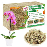 Sphagnum moss pack and loose moss in bowl, shown with small orchid plant in pot