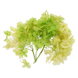10g Mini Dried Hydrangea Flower Natural Pressed Flower Gradient Green Yellow Dried Flower