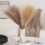 Wertuirk 30pcs Pampas Grass Decor - 24 30 Pieces, B Taupe & Beige & Khaki Pampas Grass