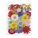 40 Pcs Dried Pressed Flower Leaves Bulk for Resin, Red Purple Yellow Dried Flower