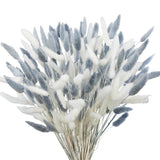 120Pcs Dried Bunny Tails Flower Lagurus Ovatus Natural Dried Flowers Rabbit T... Dried Flower