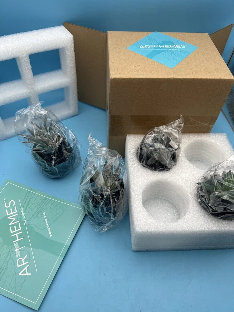 Arthemes artificial succulent set of 4, small green faux plants in clear wrapping