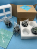 Arthemes Artificial Succulents Set Of 4 New Green House Plants Small Mini Fake Green Plant