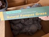 Fresh Beige Pampas Grass Bunch Dried Flower Houseplant DŽcor Pampas Grass