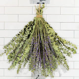 100 PCS dried eucalyptus stems and lavender flowers fit for shower decoration Dried Flower